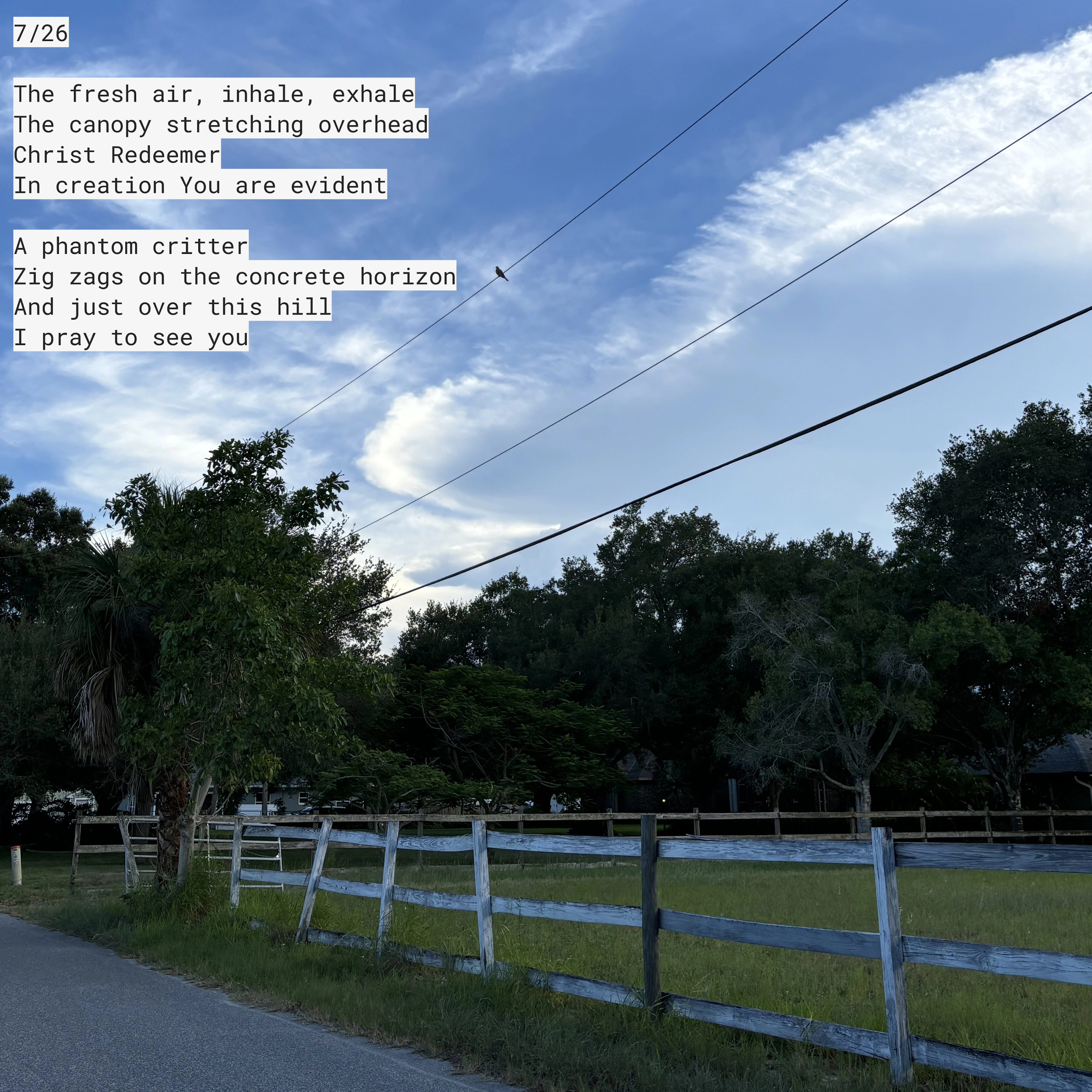 July 26. The fresh air. Inhale. Exhale. The canopy stretching overhead. Christ Redeemer, in creation You are evident. A phantom critter zig zags on the concrete horizon, and just over this hill, I pray to see you.